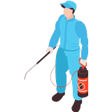 Pest Control Treatment