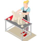 Pet Grooming